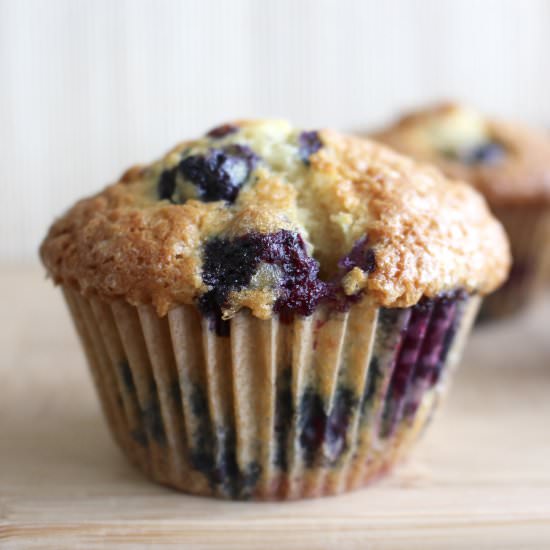 Blueberry Muffins