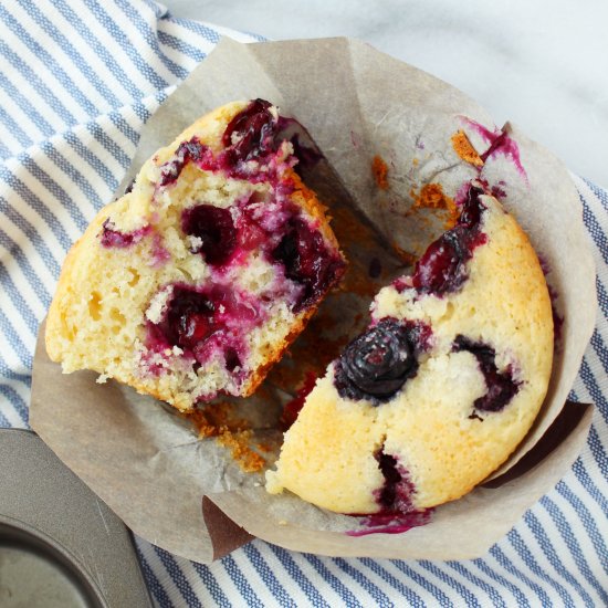 Blueberry Muffins