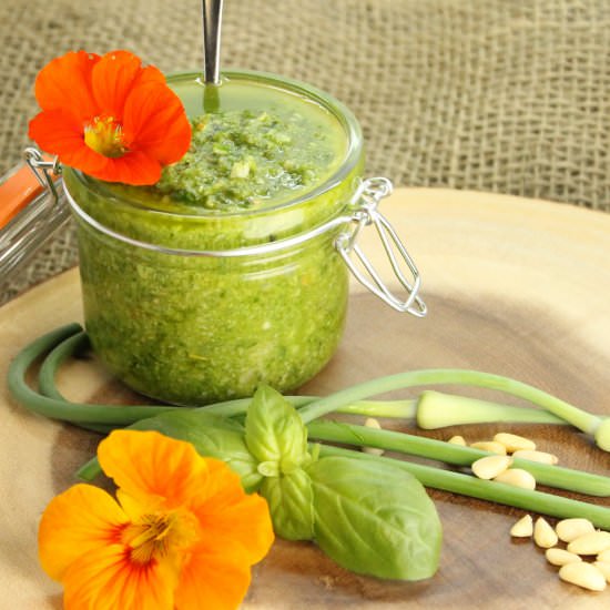 Basil & Garlic Scape Pesto