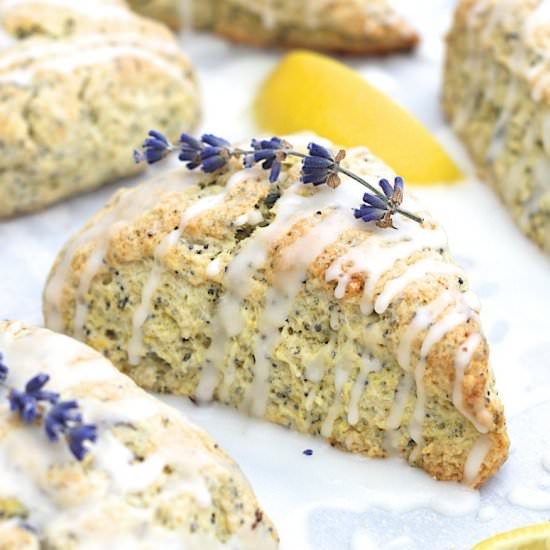 Lemon Lavender Poppy Seed Scones