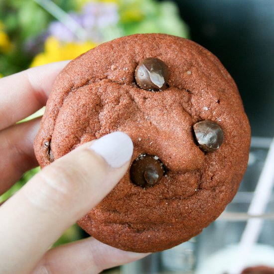 Devil’s Food Chocolate Chip Cookies