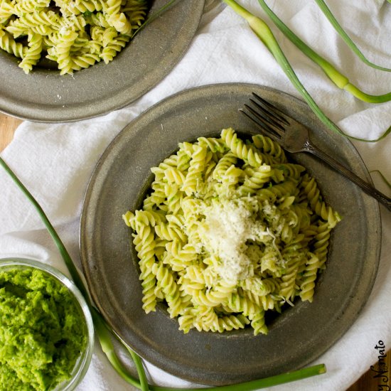 Garlic Scape Pesto