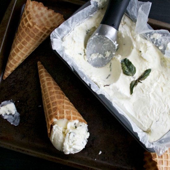 Lime Basil No Churn Ice Cream