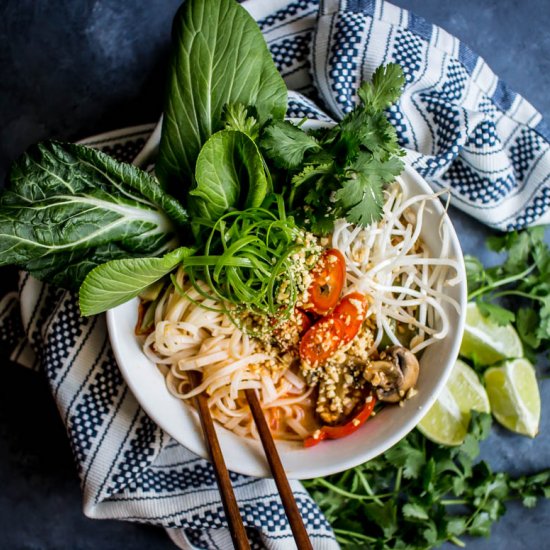 Vegan Coconut Curry Noodle Soup