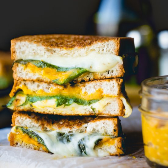 Pumpkin Hummus Grilled Cheese