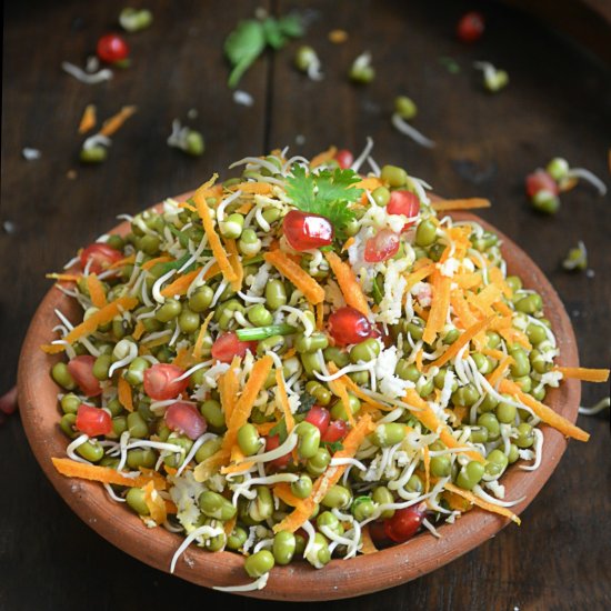 Sprouted Green Gram Salad