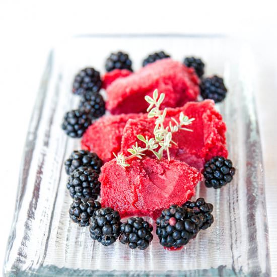 Blackberry Sorbet