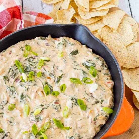 Mexican Spinach Dip