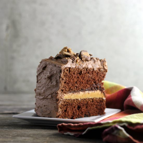 Buckeye Fudge Layer Cake