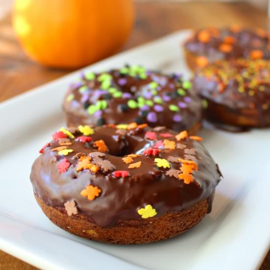 Paleo Pumpkin Protein Donuts