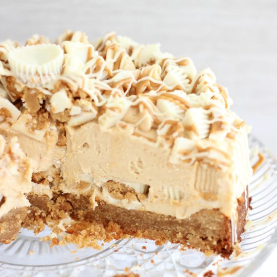 Peanut Butter Blondie Cheesecake