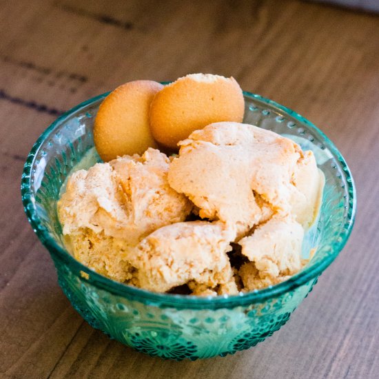 Five Ingredient Pumpkin Ice Cream