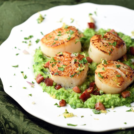 Scallops with Pea Puree & Pancetta