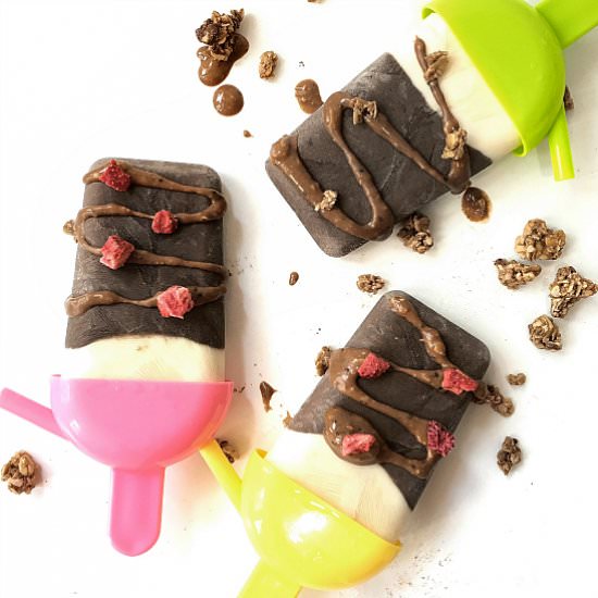 Greek Yogurt Chocolate Popsicles