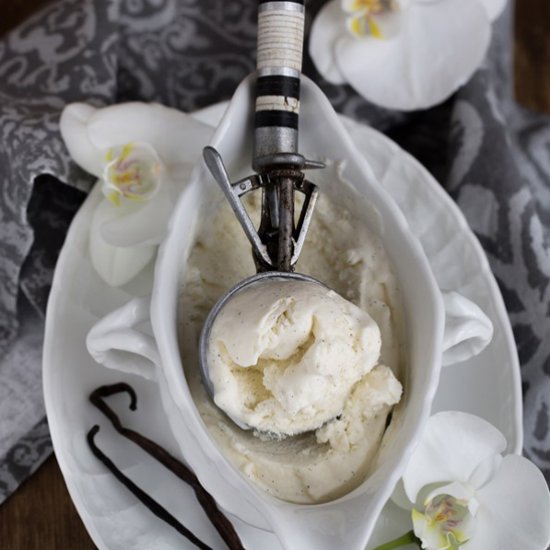 Lactose-Free Vanilla Ice Cream