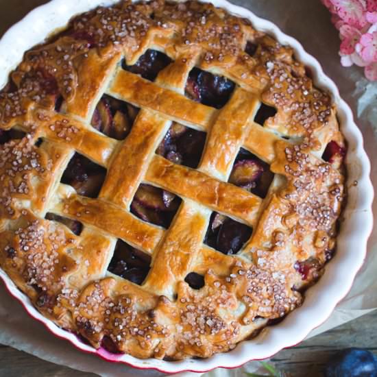 Plum Pie