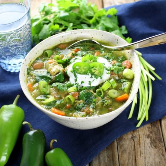 Chicken and Green Chile Verde Soup