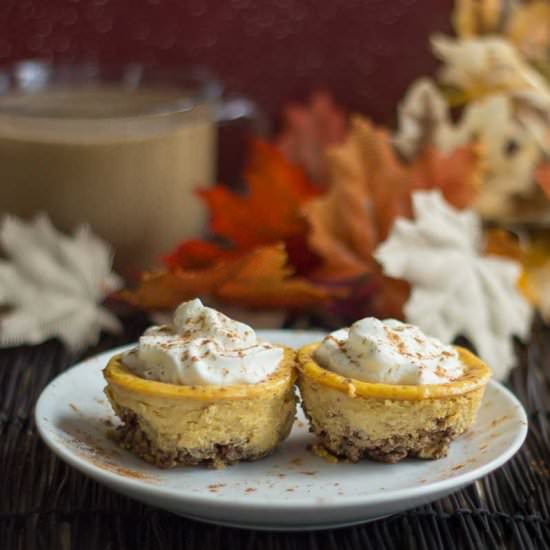 Pecan Crusted Pumpkin Cheesecakes