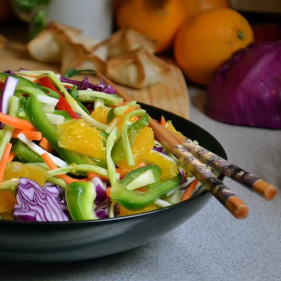 Asian Salad with Crispy Wontons