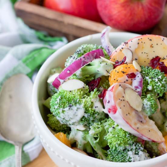 Healthy Fall Broccoli Salad