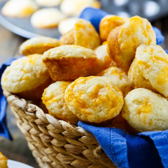 Cheesy Biscuits