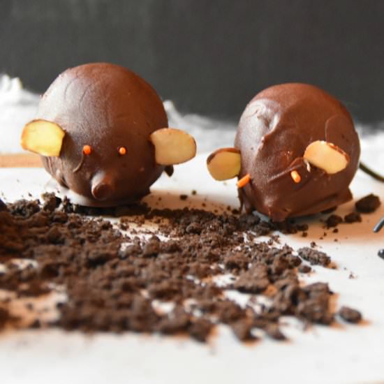 Chocolate fig Mice