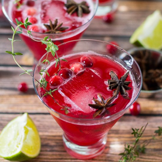 Spiced Sparkling Cranberry Punch