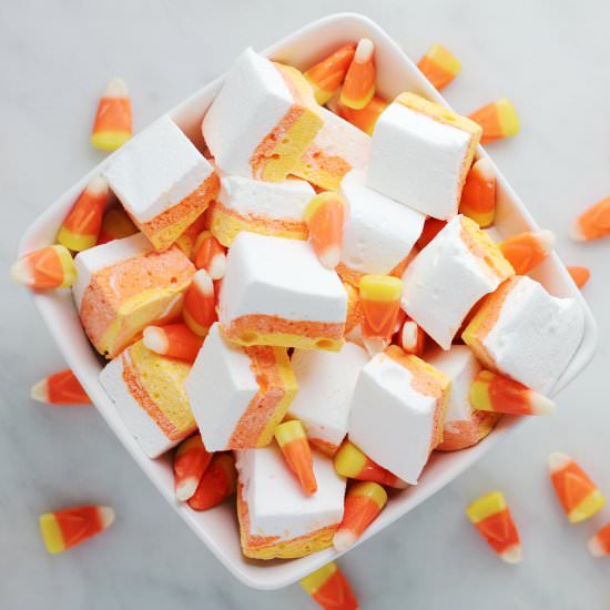 Candy Corn Marshmallows