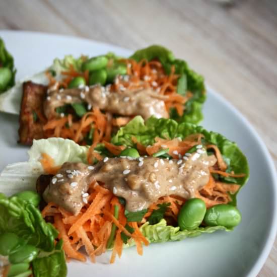 Satay Tofu Lettuce Cups