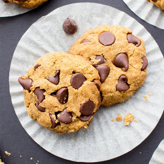 Paleo Pumpkin Chocolate Chip Cookie