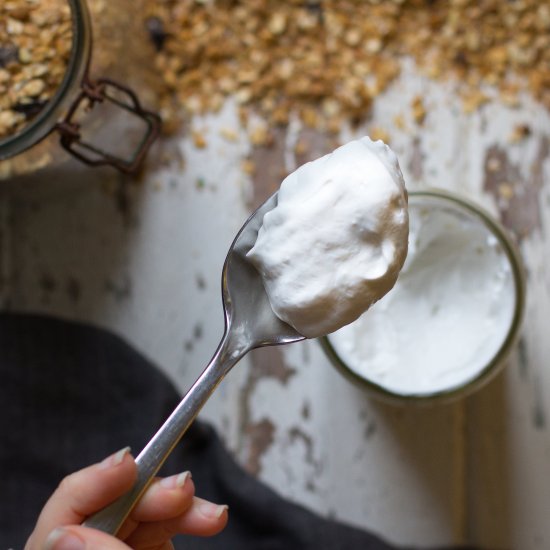 Thick and Creamy Coconut Yogurt