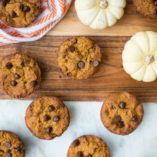 Pumpkin Chocolate Chip Muffins