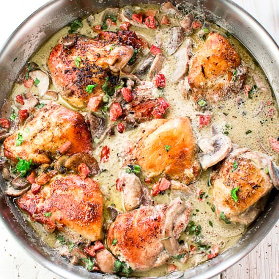 Creamy Chicken with Pecorino Cheese