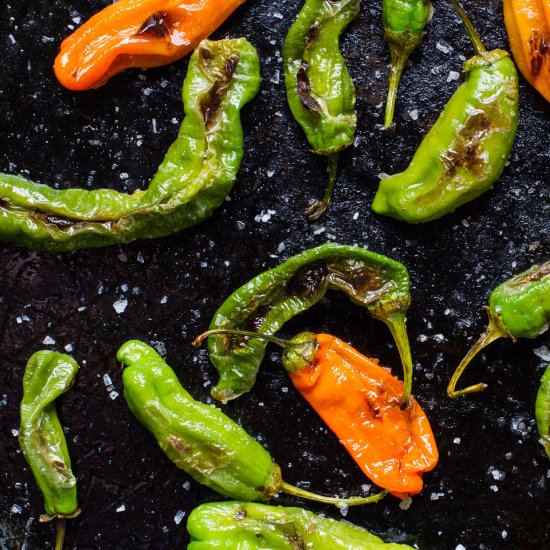 Blistered Shishito Peppers