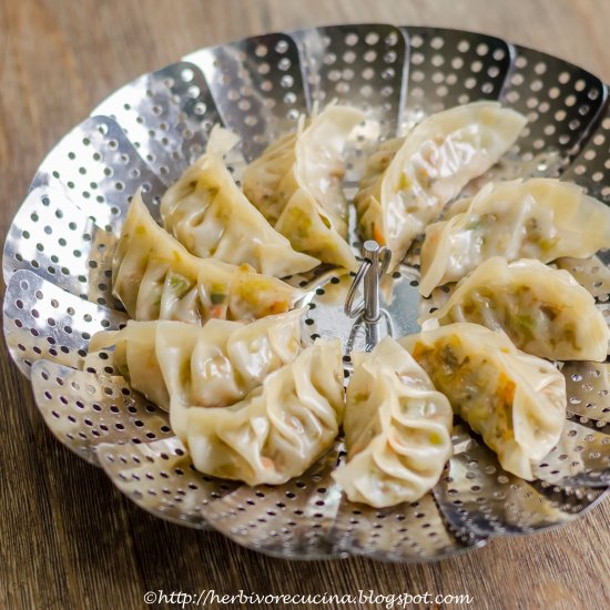 Cheese and Vegetable Dumplings