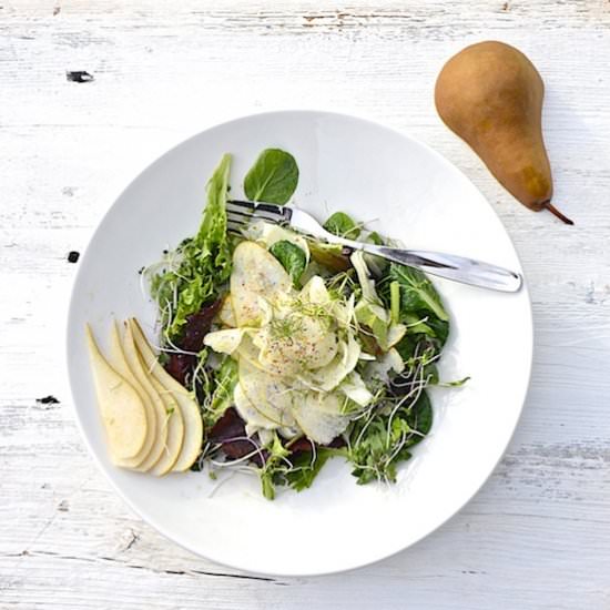 Fennel and Pear Salad