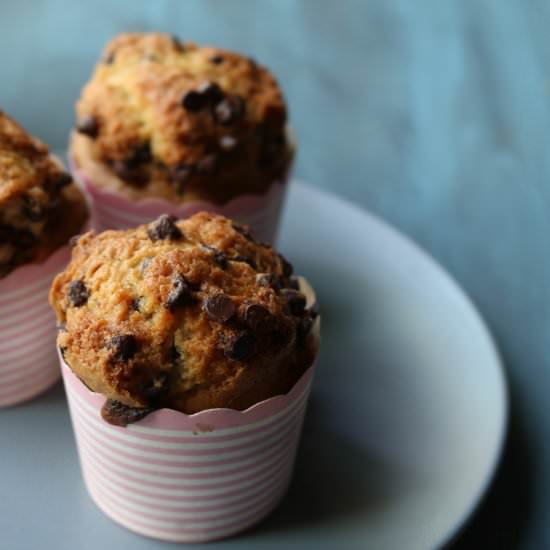 Chocolate Chip Muffins