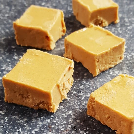 Peanut Butter Protein Fudge