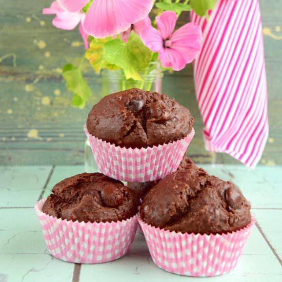 Double Chocolate Muffins