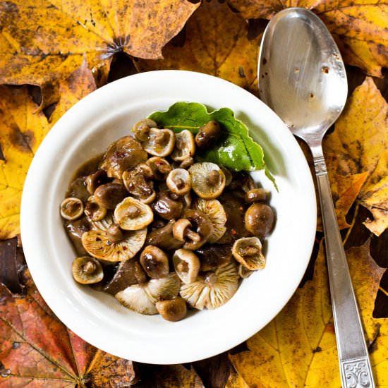 Calabrian Mushrooms