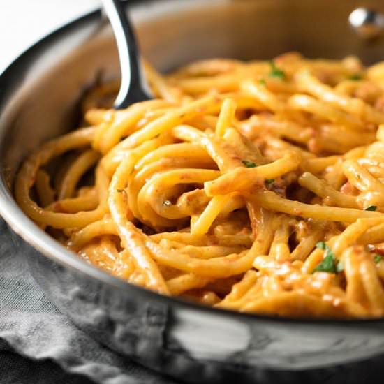 Sun Dried Tomato Alfredo