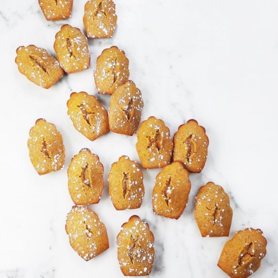 Honey Pumpkin Madeleines