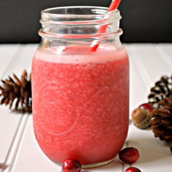 Frozen Cranberry Smoothie Delight