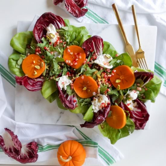 Persimmon Pomegranate Buratta Salad