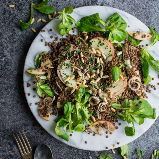 Lentil Apple Salad