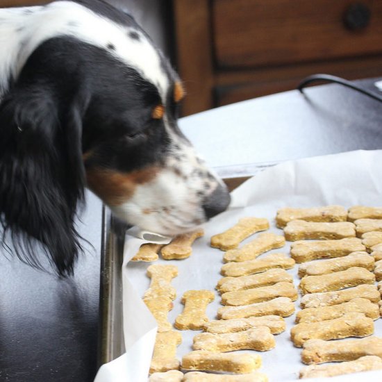 Bacon Dog Treats