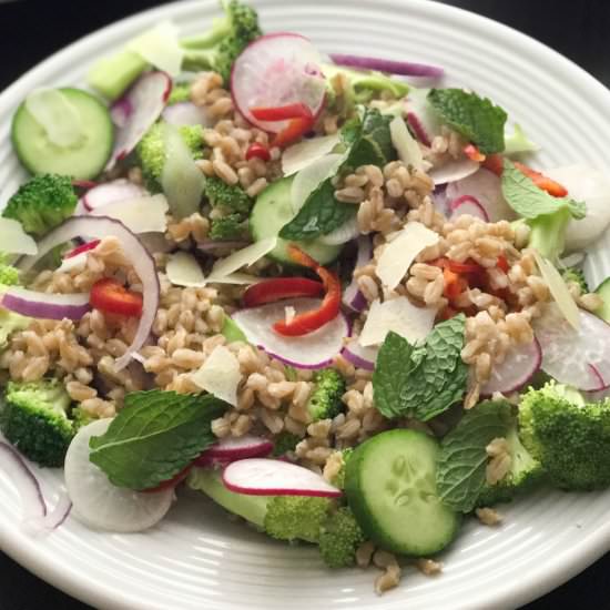 Warm Farro Salad with Easter Egg Radishes