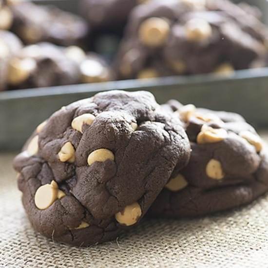 Chocolate Peanut Butter Cookies