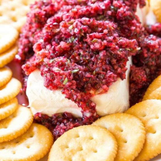 Cranberry Salsa with Cream Cheese