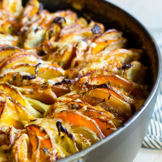 red, white, & sweet potato gratin